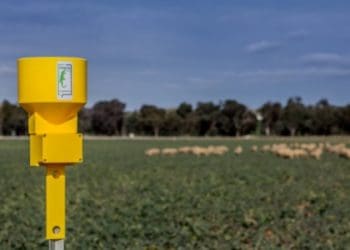 This Goanna Ag rain gauge will use Myriota's direct-to-orbit satellite network to share data with its owner. Picture: Julian Simon Nguyen.