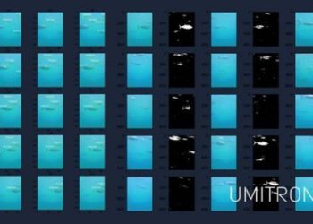 Aquaculture technology provider UMITRON launches Fish Appetite Index (FAI), the world’s first real-time ocean-based fish appetite detection system.