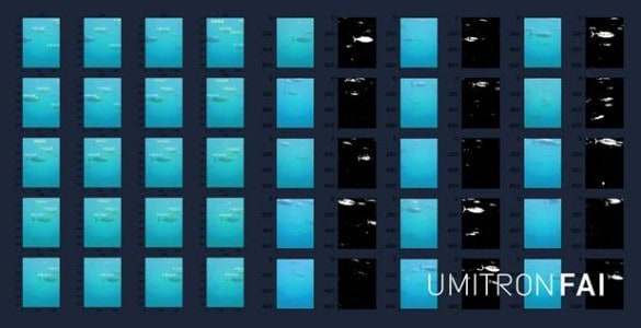 Aquaculture technology provider UMITRON launches Fish Appetite Index (FAI), the world’s first real-time ocean-based fish appetite detection system.