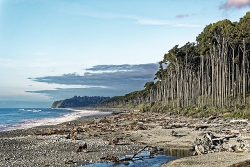 Tasman Sea in New Zealand (Image by Makalu from Pixabay)