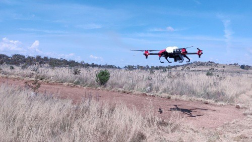 XAG Agricultural Drone seeded the degraded pasture in Australia.