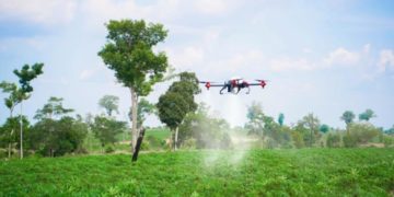 XAG Agricultural Drone conducts aerial spraying to boost cassava productivity in Cambodia