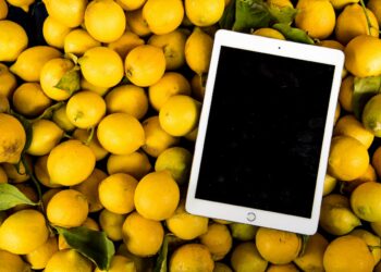 Photo by Sotiris Gkolias: https://www.pexels.com/photo/photo-of-ipad-on-pile-of-lemons-927805/