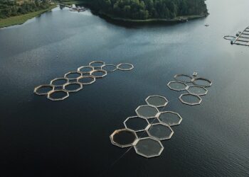 Photo by Alexey Komissarov: https://www.pexels.com/photo/aerial-shot-of-fish-pens-in-the-lake-9022596/