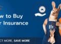Roojai Insurance