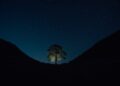 Photo by Clément Proust: https://www.pexels.com/photo/sycamore-gap-northumberland-national-park-royaume-uni-dans-robin-des-bois-princes-voleurs-princes-of-thieves-18554368/