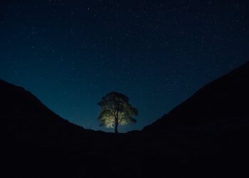Photo by Clément Proust: https://www.pexels.com/photo/sycamore-gap-northumberland-national-park-royaume-uni-dans-robin-des-bois-princes-voleurs-princes-of-thieves-18554368/