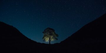 Photo by Clément Proust: https://www.pexels.com/photo/sycamore-gap-northumberland-national-park-royaume-uni-dans-robin-des-bois-princes-voleurs-princes-of-thieves-18554368/