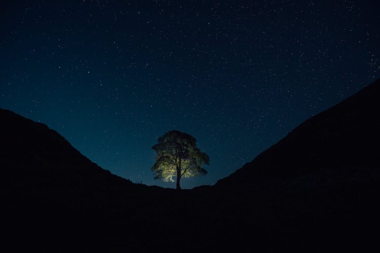 Photo by Clément Proust: https://www.pexels.com/photo/sycamore-gap-northumberland-national-park-royaume-uni-dans-robin-des-bois-princes-voleurs-princes-of-thieves-18554368/