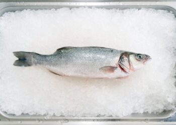 Photo by Deane Bayas: https://www.pexels.com/photo/fish-in-ice-14062103/