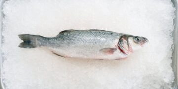 Photo by Deane Bayas: https://www.pexels.com/photo/fish-in-ice-14062103/