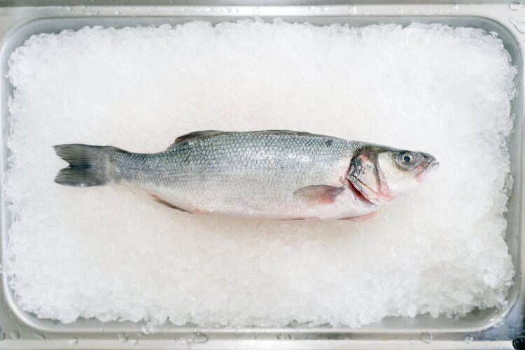 Photo by Deane Bayas: https://www.pexels.com/photo/fish-in-ice-14062103/