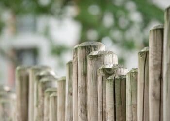Photo by Pixabay: https://www.pexels.com/photo/brown-wooden-fence-in-front-48246/