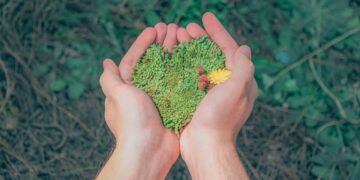 Photo by Min An: https://www.pexels.com/photo/person-holding-green-grains-1230157/