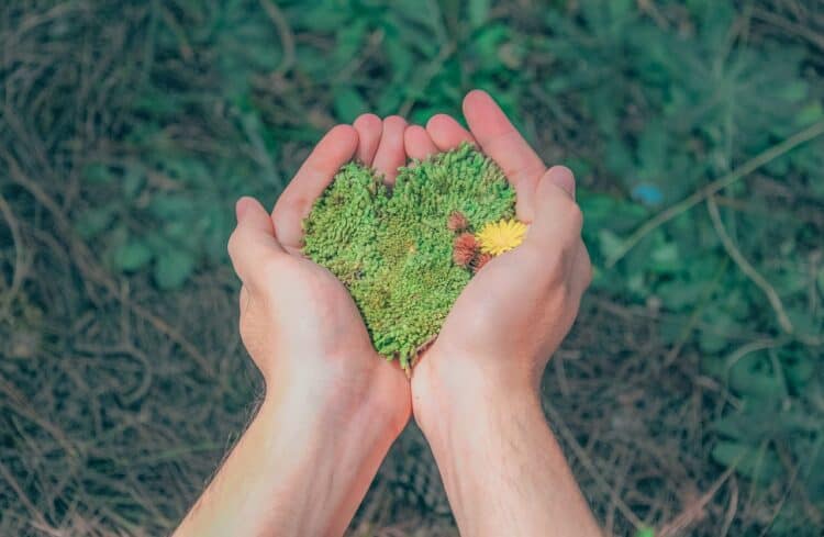 Photo by Min An: https://www.pexels.com/photo/person-holding-green-grains-1230157/